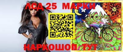 молекула духа Будённовск