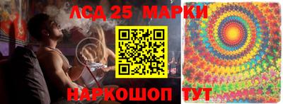 молекула духа Будённовск