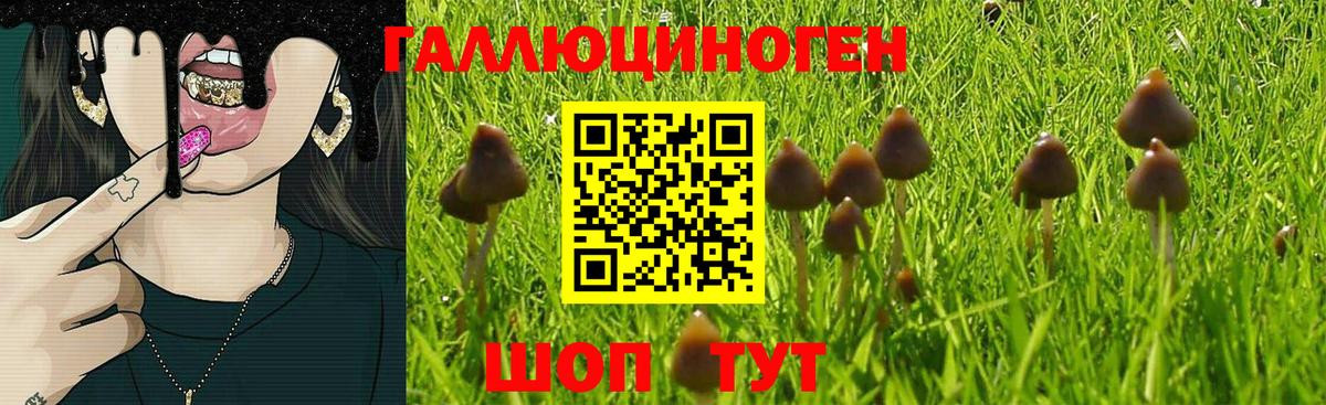 Псилоцибиновые грибы мицелий Нурлат